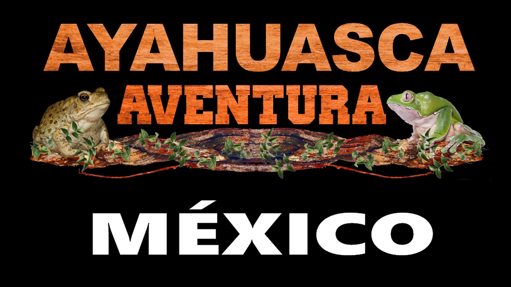 Ayahuasca Aventura México